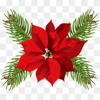 Free Png Christmas Poinsettia Png - Transparent Background Poinsettia Png Clipart
