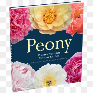 Peony The Best Varieties For Your Garden Clipart