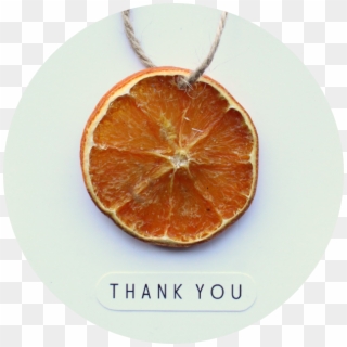 Dried Orange Slice Card - Clementine Clipart