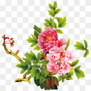 Floral Design Moutan Peony Download Flower - 牡丹 图 Clipart