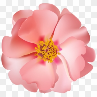 Rosebush Flower Png Clip - Common Peony Transparent Png