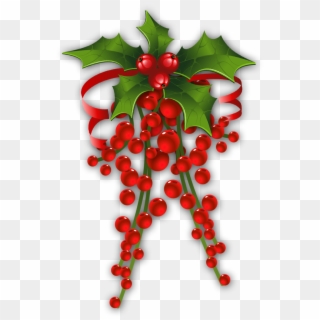 Poinsettia Clipart Holly - Transparent Christmas Mistletoe - Png Download