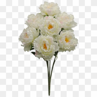 Cream Peony Bush X7 Sale Item - Bouquet Clipart