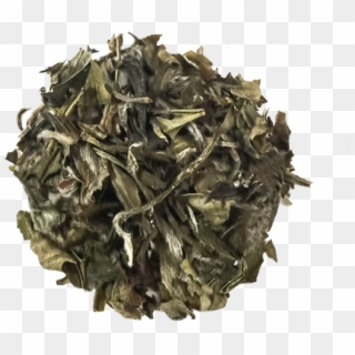 Loose Leaf Green Tea Clipart