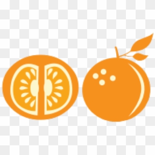 Orange Fruit Clipart Orange Slice - Illustration - Png Download