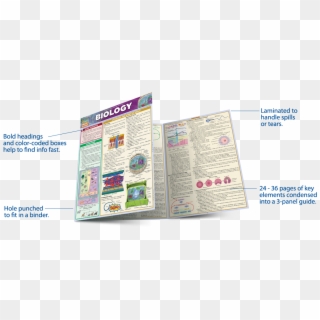 Study Guides - Biology Barcharts Clipart