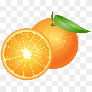 Transparent Clipart - Png Download
