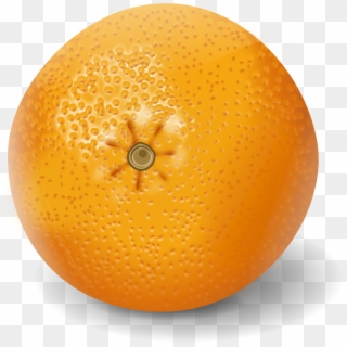Svg Orange Apelsinas Big Image Png - Realistic Clipart Of Fruit Transparent Png