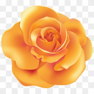 Free Png Download Orange Rose Png Images Background - Orange Transparent Roses Clipart