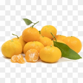 Mandarin Orange Png Image Background - Tangerine Clipart