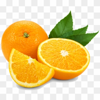 Oranges - Cut Citrus Fruit Clipart