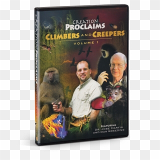 Dvd Clipart