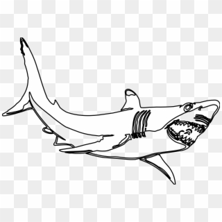 Great White Shark Clipart Black And White - Great White Shark Black And White - Png Download