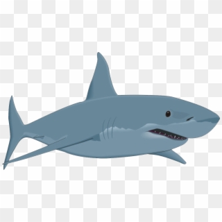 Confessions Of A Great White Shark - Cartoon Great White Shark Clipart