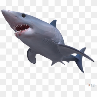 Great White Shark Clipart Mako Shark - Mako Shark Transparent Background - Png Download