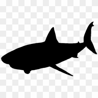 Shark Jumping Out Of Water Png - Silhouette Of A White Shark Clipart