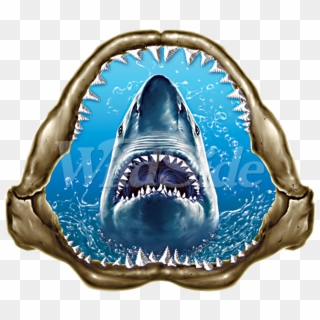 White Shark Jaws Youth - Great White Shark Clipart