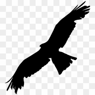 Bald Eagle Bird Of Prey Silhouette - Bird Of Prey Silhouette Clipart