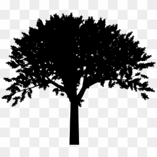 Tree Silhouette Png Clip Art Transparent Png