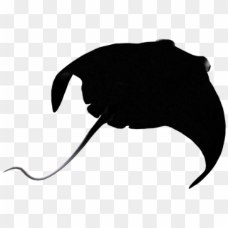 Manta Ray Silhouette At Getdrawings - Manta Ray Silhouette Png Clipart