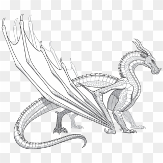 Skywings - Wings Of Fire Dragons Skywing Clipart