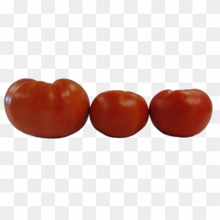 2014 Evaluation Of Determinate Tomato Varieties In - Red Deuce Tomato Results Clipart