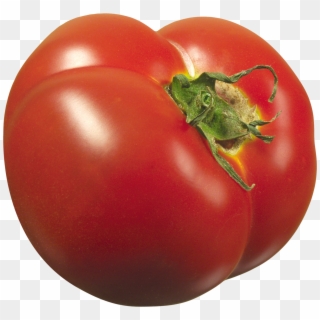 Tomato Png - Tomato Clipart