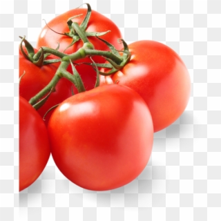 640 X 640 0 - Plum Tomato Clipart