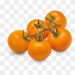 Orange Vine Tomatoes - Orange Tomatoes Png Clipart