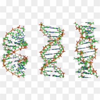 A Beautiful Microbe - Molecule Dna Clipart