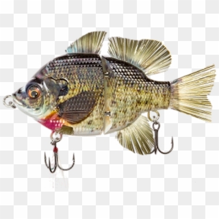 Images/redbg2 - Real Fish Lure Clipart