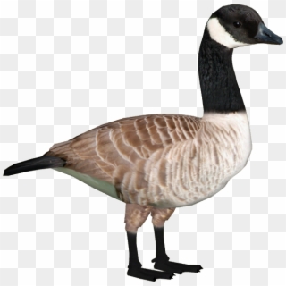 Goose Png Clipart