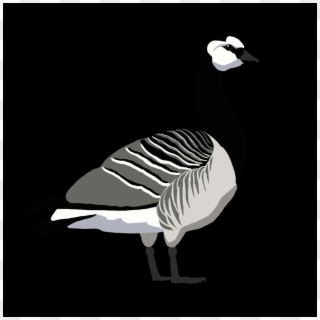 Barnacle Goose Png Clipart