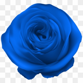 Free Png Download Blue Rose Png Png Images Background - Blue Rose Png Clipart