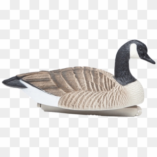 Final Approach 6 Goose Floating Decoys Model - Free Canada Geese Clipart - Png Download