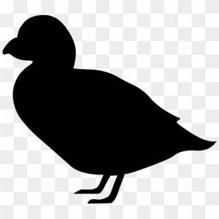 Canada Goose Duck Bird Silhouette - Silhouette Puffin Clipart