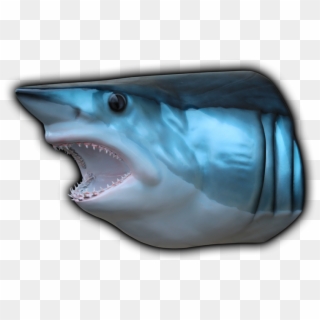 800 X 544 5 - Great White Shark Clipart