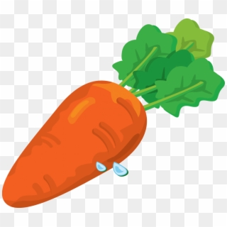 Free Png Download Carrot Clipart Png Photo Png Images - Овощей Морковь Transparent Png