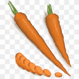 File - Carrots - Svg - Carrot Clipart