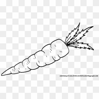 Carrot Clipart Black And White Free - Carrots Black And White - Png Download