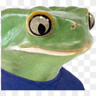 Feels Bad Man / Sad Frog - Real Life Pepe The Frog Clipart