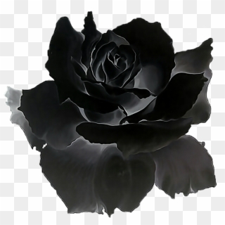 Black Roses Gif Clipart