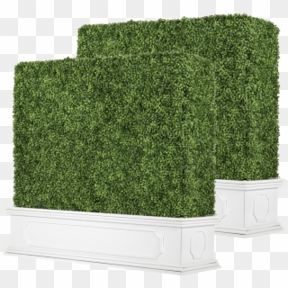 Chateau Traditional Free Standing Boxwood Hedge With - Hedge Clipart