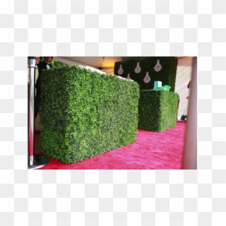 Curate Boxwood Hedge Checkin Counter - Hedge Clipart