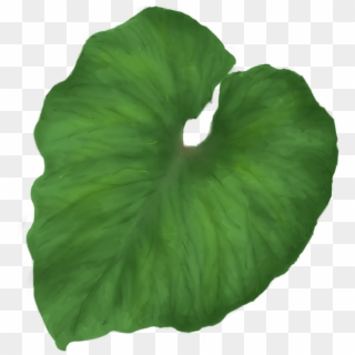 Green Leaf Png - Single Leaf Png Clipart