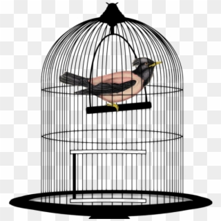 Bird Cage Png Transparent Image - Bird In Cage Png Clipart