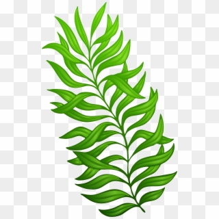 Exotic Green Plant Png Clipart Imageu200b Gallery Yopriceville - Plant Clip Art Png Transparent Png