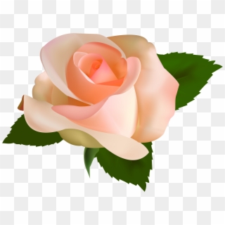 Peach Flower Clipart Greenery - Peach Rose Clip Art - Png Download