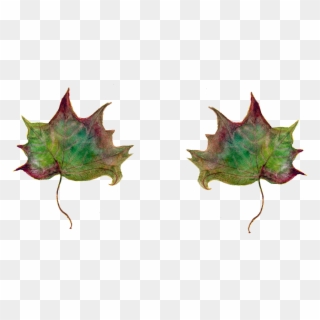 Leaf,maple Leaves,green Leaf,autumn Leaf,watercolor,dead - Folhas Secas Em Png Clipart