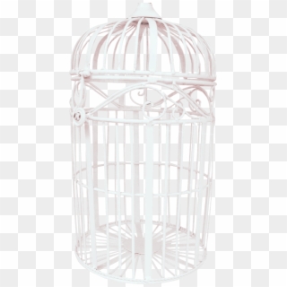 Bird Cage - Birdcage White Png Clipart